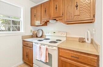 1701 Castile St in St. Augustine, FL - Building Photo - Building Photo