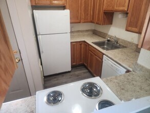 513-515-515 NE Kamiaken St in Pullman, WA - Building Photo - Building Photo