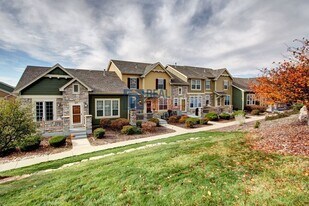 563 Lost Valley Point in Castle Rock, CO - Building Photo