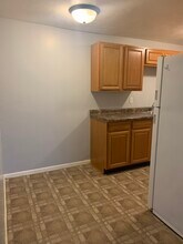 407 E Seminole St in Dwight, IL - Building Photo - Building Photo