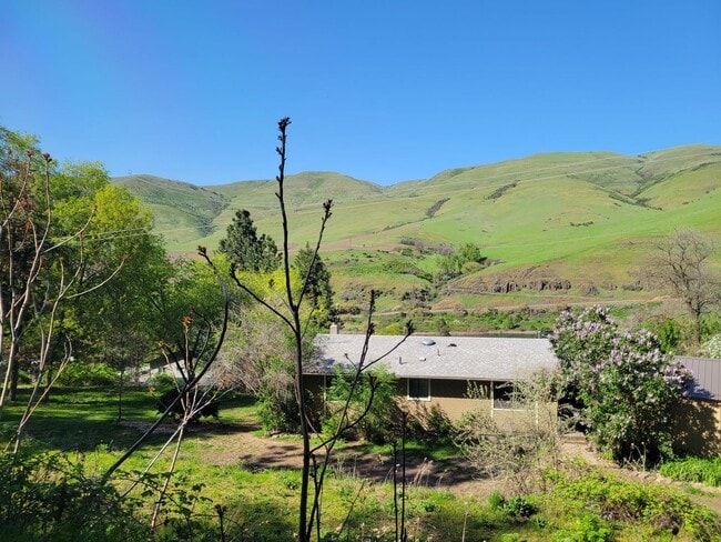 18710 Fernwood Dr in Lenore, ID - Building Photo - Building Photo