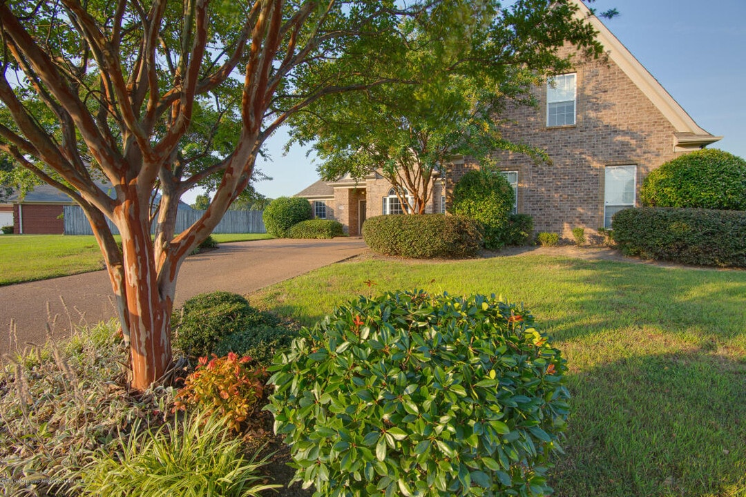 2160 Ansley Park Ln in Southaven, MS - Building Photo