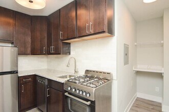 450 W Barry, Unit 514 in Chicago, IL - Building Photo - Building Photo