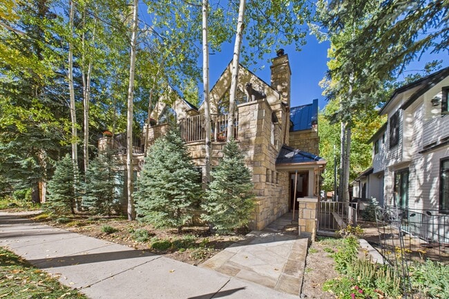 914 E Cooper Ave in Aspen, CO - Building Photo - Building Photo