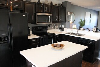 4822 Tuscan Loon Drive in Tampa, FL - Building Photo - Building Photo