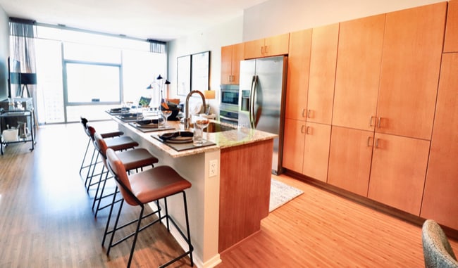 201 E Ohio St in Chicago, IL - Building Photo - Building Photo