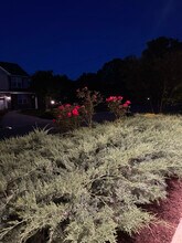 1207 Campbell Park Ln in Knoxville, TN - Foto de edificio - Building Photo