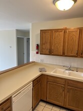 6020 Oakwood Dr in Lisle, IL - Building Photo - Building Photo