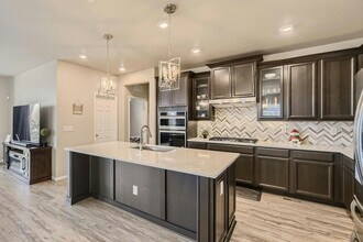 13528 Tree Sparrow Ln in Parker, CO - Building Photo - Building Photo