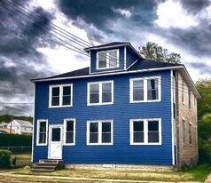 1005 Pine St in Endicott, NY - Building Photo