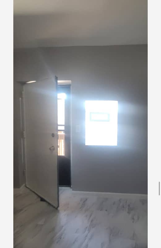 8043 S Maryland Ave in Chicago, IL - Foto de edificio - Building Photo