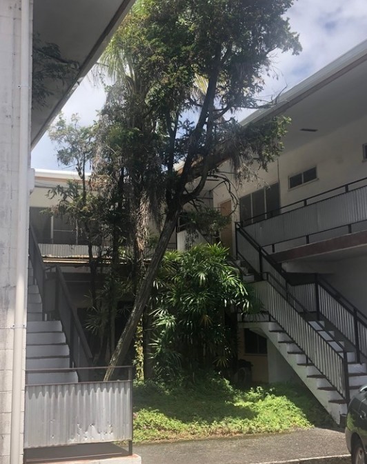 205 Haili St in Hilo, HI - Foto de edificio
