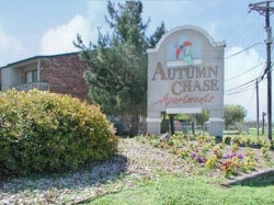 Autumn Chase Apartments in Temple, TX - Building Photo