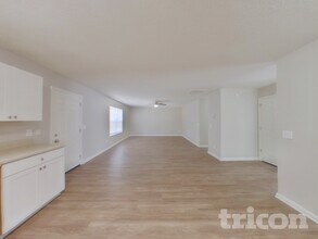 241 Cape Jasmine Way in Lexington, SC - Building Photo - Building Photo