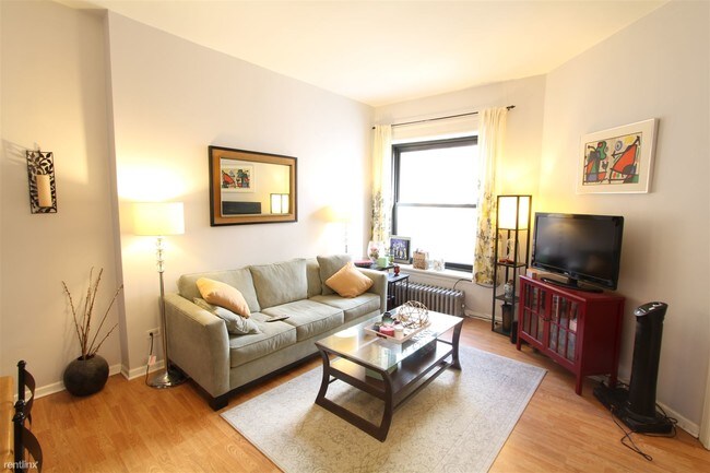 20 E Goethe St-Unit -Apt 203 in Chicago, IL - Building Photo - Building Photo