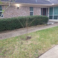 1006 Walnut Bend Ln in Houston, TX - Building Photo