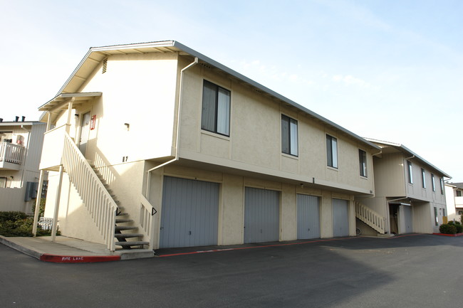 Marina Meadows Apartments in Marina, CA - Building Photo - Building Photo