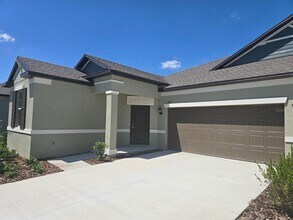 9325 Scouter Bee Pl in Land O Lakes, FL - Building Photo - Building Photo