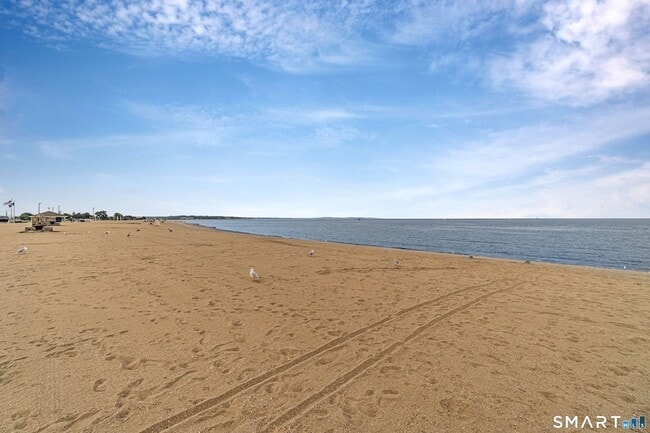 115 Short Beach Rd in Stratford, CT - Building Photo - Building Photo