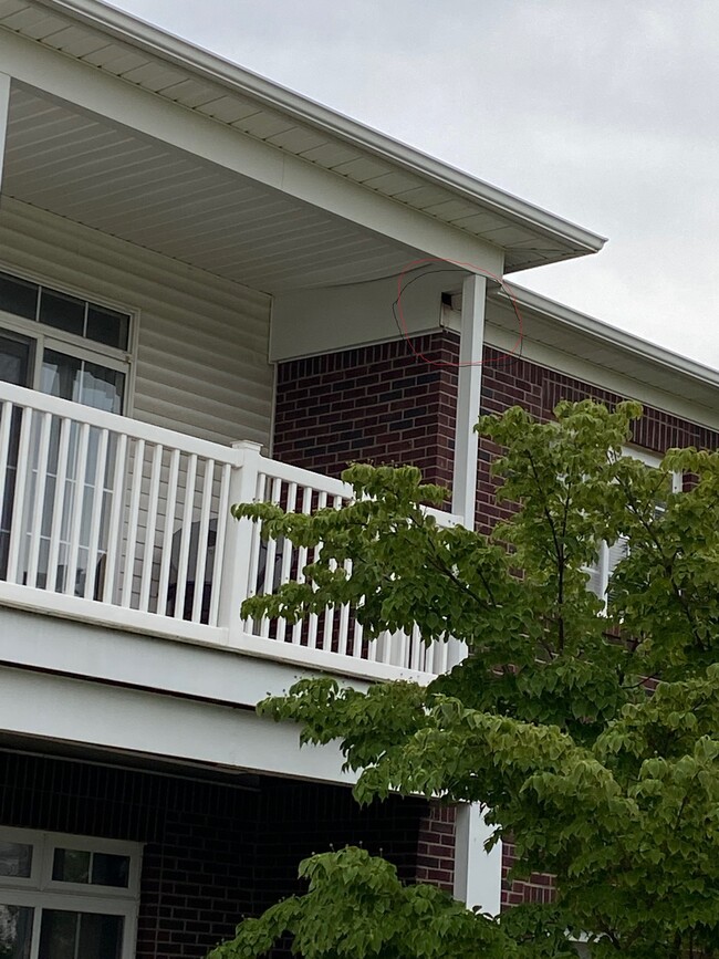 5625 Twin Oaks Dr, Unit 5625 Twin Oaks in Sterling Heights, MI - Foto de edificio - Building Photo