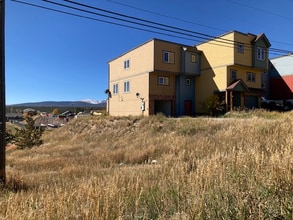 813 Castello Ave in Fairplay, CO - Building Photo - Building Photo
