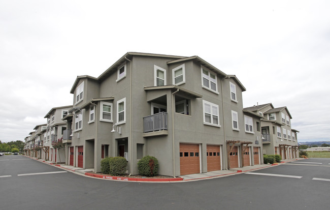 Monte Vista Apartments in Santa Rosa, CA - Building Photo - Building Photo