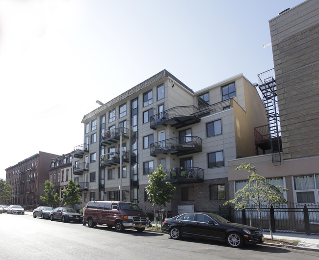 74-80 Lexington Ave in Brooklyn, NY - Foto de edificio - Building Photo