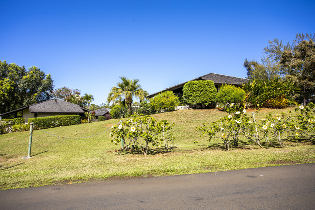 3890 Kamehameha Rd in Princeville, HI - Foto de edificio - Building Photo