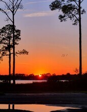 Island Pointe in Jacksonville, FL - Building Photo - Building Photo