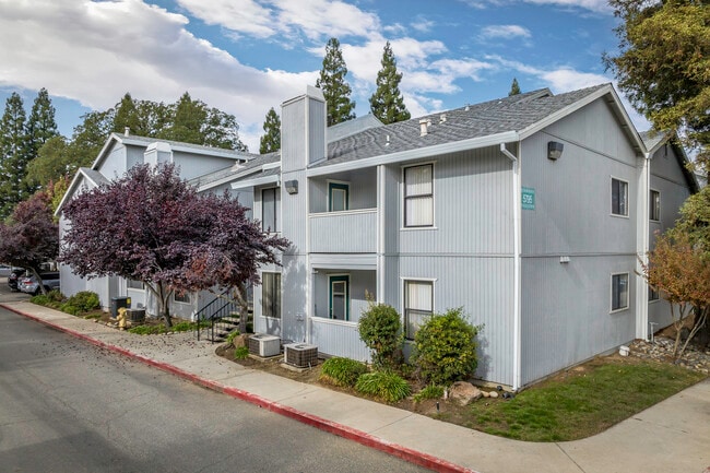 Springview Oaks Apartments in Rocklin, CA - Building Photo - Building Photo