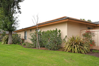 Beechwood in Fresno, CA - Building Photo - Building Photo