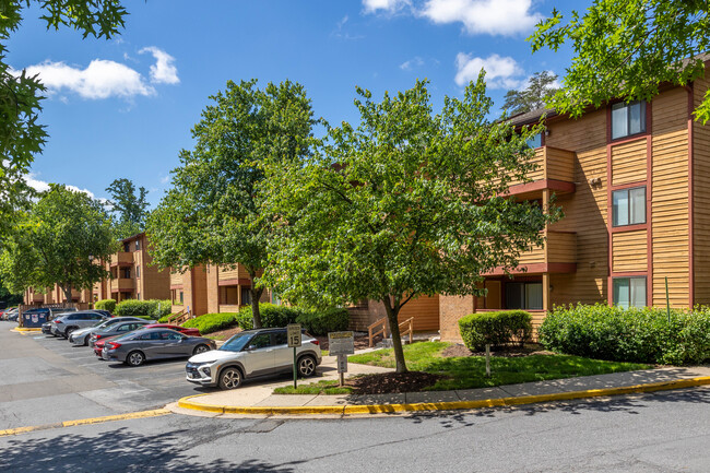 The Birches in Silver Spring, MD - Building Photo - Building Photo