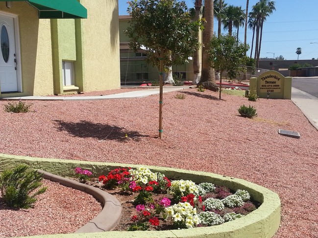 Thunderbird Terrace in Phoenix, AZ - Foto de edificio - Building Photo