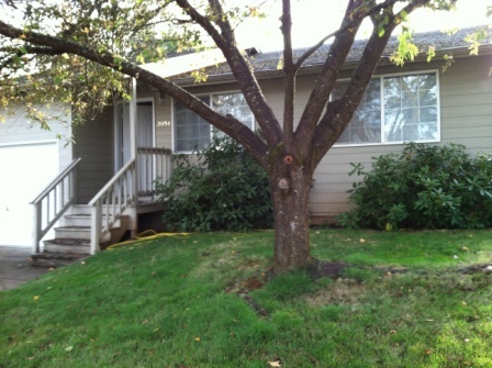 2094-2094 Springcrest Ct S in Salem, OR - Building Photo
