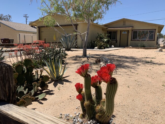 6186 Chia Ave in Twentynine Palms, CA - Building Photo - Building Photo
