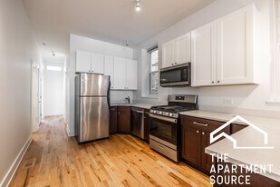 1823 W 17th St, Unit 1 in Chicago, IL - Building Photo