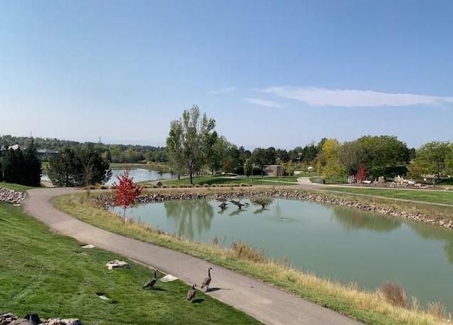 5956 S Olive Cir in Centennial, CO - Building Photo