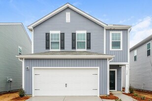 1329 Solace Wy in Rolesville, NC - Building Photo