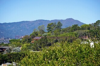 3 Bartel Ct in Tiburon, CA - Building Photo - Building Photo