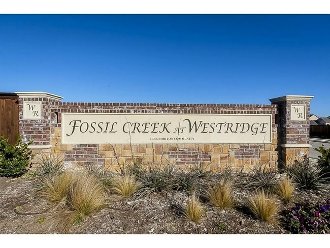 9924 Copperhead Ln in McKinney, TX - Building Photo - Building Photo