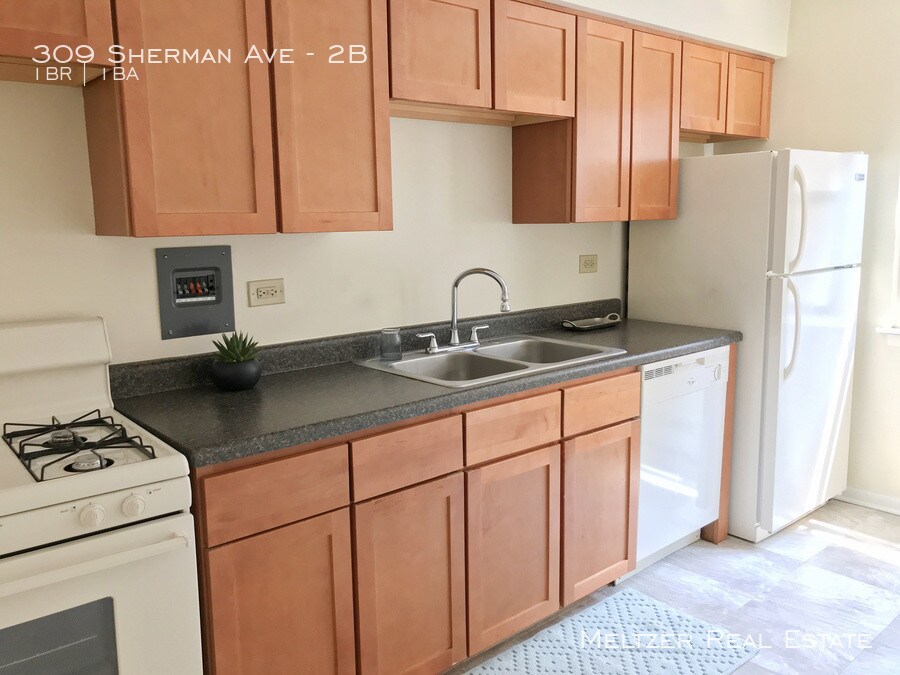 309 Sherman Ave-Unit -2B in Evanston, IL - Building Photo