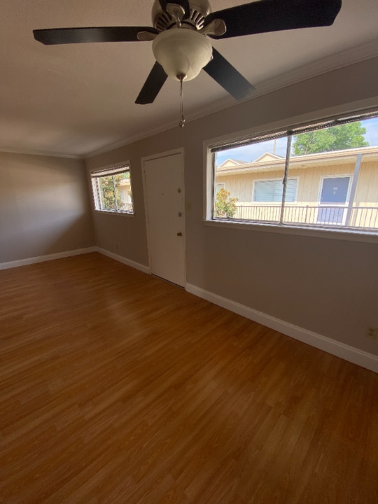 1717 park in Houston, TX - Building Photo