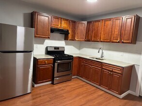 217 E Bringhurst St in Philadelphia, PA - Building Photo - Building Photo