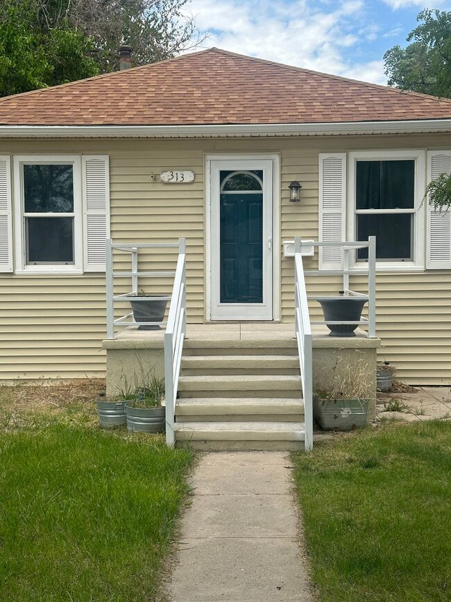 property at 313 W 15th St