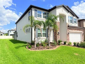 11131 Sundrift Dr in Tampa, FL - Building Photo - Building Photo