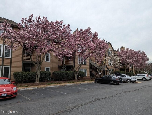 property at 243 Loudoun St SW