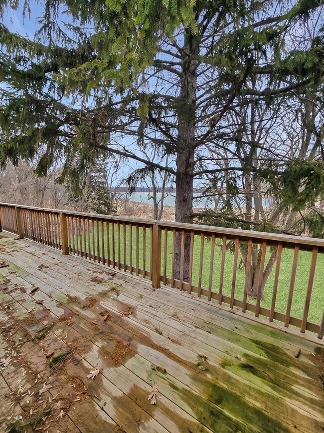 136 N Lake St in Grant, MI - Building Photo - Building Photo