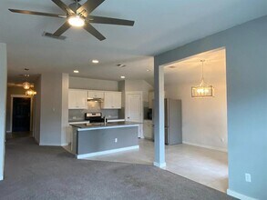 13528 Fern Grove Ct in Manor, TX - Building Photo - Building Photo