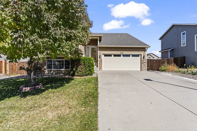 6531 Passing Sky Dr in Colorado Springs, CO - Building Photo - Building Photo