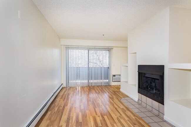 Albion Court Apartments in Denver, CO - Building Photo - Building Photo